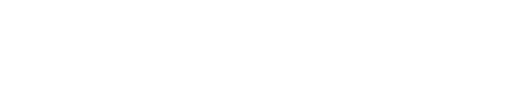 ROI Training